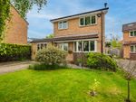 Thumbnail for sale in Creswick Close, Walton, Chesterfield