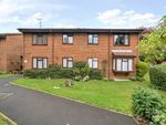 Thumbnail to rent in Tarragon Drive, Guildford, Surrey