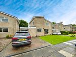 Thumbnail to rent in Badgers Green, Morpeth