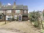 Thumbnail for sale in Hammer Vale, Haslemere