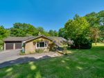 Thumbnail for sale in Whitmore Vale, Grayshott, Hindhead