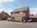 Thumbnail to rent in "The Acer" at Hayloft Way, Nuneaton