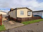 Thumbnail to rent in St. Hermans Caravan Estate, Hayling Island