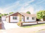 Thumbnail for sale in Roderick Avenue, Peacehaven
