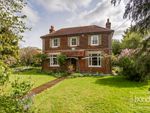 Thumbnail for sale in Main Road, Bicknacre, Chelmsford