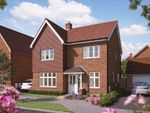 Thumbnail to rent in "The Aspen" at Walshes Road, Crowborough