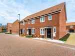 Thumbnail to rent in Buckle Mead, Eastergate, Chichester
