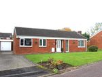 Thumbnail for sale in Higher Meadow, Clayton Le Woods, Leyland