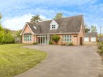 Thumbnail for sale in Mere Road, Stow Bedon, Attleborough, Norfolk