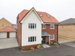 Thumbnail for sale in Fusiliers Green, Heckfords Road, Great Bentley, Colchester