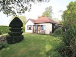 Thumbnail to rent in Pear Tree Lane, Whitchurch