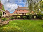 Thumbnail to rent in Grove Hill, Hellingly, East Sussex