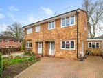 Thumbnail for sale in Paddock Way, Liphook, Hampshire