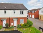 Thumbnail to rent in Vernon Crescent, New Court, Exeter