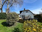 Thumbnail to rent in The Highlands, Bexhill On Sea