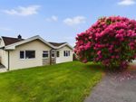 Thumbnail for sale in Lynher Way, North Hill, Launceston