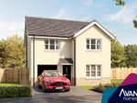 Thumbnail to rent in "The Lenzie" at Sycamore Drive, Penicuik