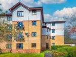 Thumbnail to rent in Annfield Gardens, Stirling, Stirling