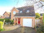 Thumbnail for sale in Celandine Close, Seaton, Devon