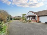 Thumbnail for sale in Catamaran Close, Warsash, Southampton