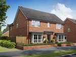 Thumbnail to rent in "Almond" at Sulgrave Street, Barton Seagrave, Kettering