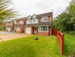 Thumbnail to rent in Birch Grove, Henllys, Cwmbran