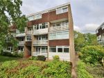 Thumbnail to rent in Hill View Court, Woking, Surrey
