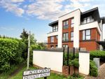Thumbnail for sale in Acer Grove, Woking, Surrey, Surrey