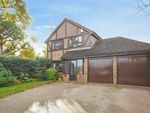 Thumbnail to rent in Little Fields, Danbury, Chelmsford