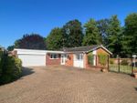 Thumbnail to rent in Balmoral Close, Ipswich
