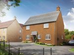 Thumbnail to rent in "The Sulgrave" at Heathencote, Towcester