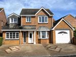 Thumbnail for sale in Ivydale, Exmouth