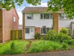 Thumbnail for sale in Abbotswood Close, Romsey, Hampshire