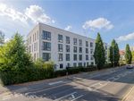 Thumbnail to rent in Broadwater Road, Welwyn Garden City, Hertfordshire