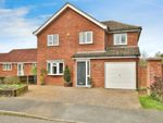 Thumbnail to rent in Farrow Close, Swanton Morley, Dereham