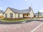 Thumbnail to rent in Plot 19 Beech Drive, Hay On Wye, Herefordshire