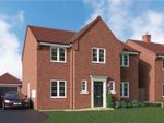 Thumbnail to rent in "Cedarwood" at Boroughbridge Road, Upper Poppleton, York