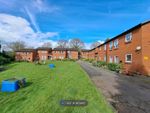 Thumbnail to rent in Chester Road, Whitchurch