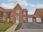 Thumbnail to rent in Blackmill Way, Sandwich