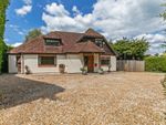 Thumbnail to rent in Sparsholt, Winchester