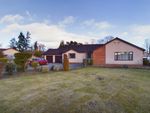 Thumbnail for sale in 13 Isla Road, Blairgowrie, Perthshire