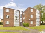 Thumbnail to rent in Alexander Close, Twickenham