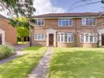 Thumbnail to rent in St. Lawrence Avenue, Gaisford, Worthing
