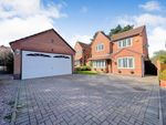 Thumbnail for sale in Pine View, Leicester Forest East, Leicester, Leicestershire