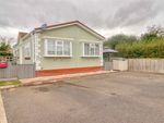 Thumbnail for sale in Green Lawns, St Osyth Road East, Little Clacton