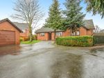 Thumbnail to rent in Croft Road, Clehonger, Hereford