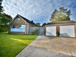 Thumbnail to rent in Silverdale, Coldwaltham, Pulborough