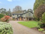 Thumbnail to rent in Pine Bank, Hindhead