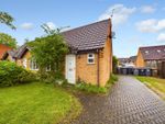 Thumbnail to rent in Holmes Field, Bassingham, Lincoln