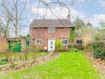 Thumbnail for sale in Beehive Green, Welwyn Garden City, Hertfordshire